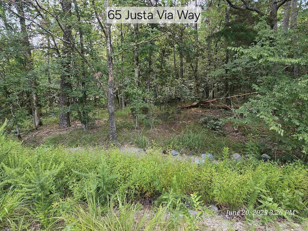 65 Justa Via Way, Hot Springs Village, AR 71909