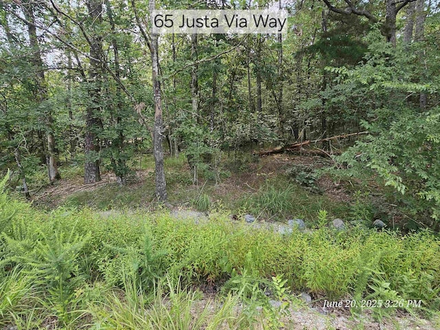 65 Justa Via Way, Hot Springs Village, AR 71909