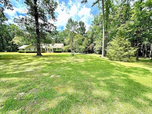 6823 Nevins Rd, Pine Bluff, AR 71603 - view of grassy yard