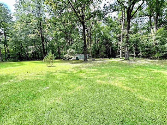 6823 Nevins Rd, Pine Bluff, AR 71603 - view of green lawn