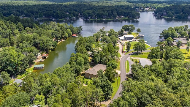 529 Charlie Stover, Royal, AR 71968 - bird's eye view of a large body of water and a heavily wooded area