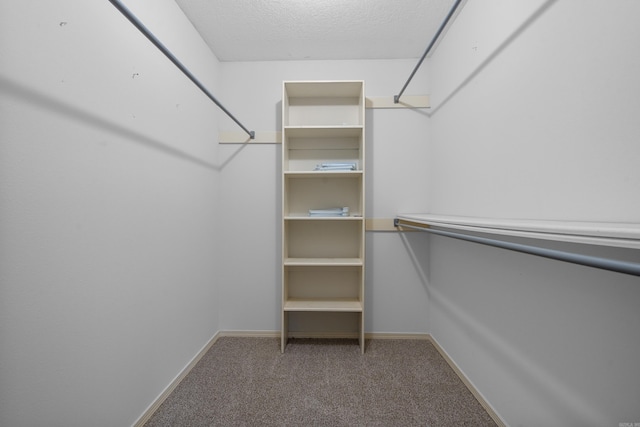 529 Charlie Stover, Royal, AR 71968 - spacious closet featuring carpet flooring