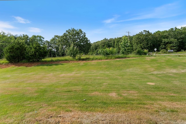 85 Lewis Loop, Greenbrier, AR 72058 - view of grassy yard