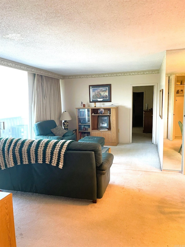 700 E 9th St Unit 6L, Little Rock, AR 72202 - living area with light colored carpet and a textured ceiling