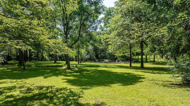 7616 Samples Rd, Benton, AR 72019 - view of grassy yard