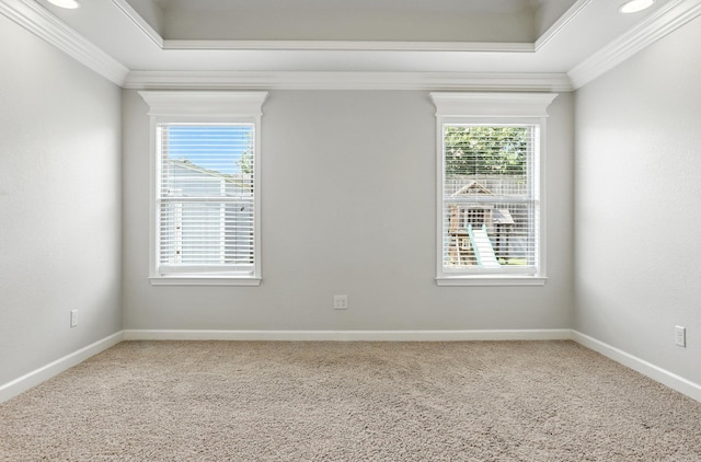 6137 Remington Dr, Bryant, AR 72022 - empty room with crown molding, healthy amount of natural light, and carpet flooring