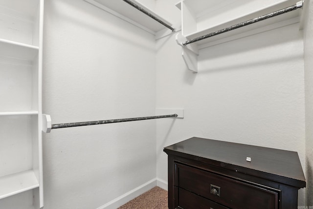 6137 Remington Dr, Bryant, AR 72022 - walk in closet with carpet floors