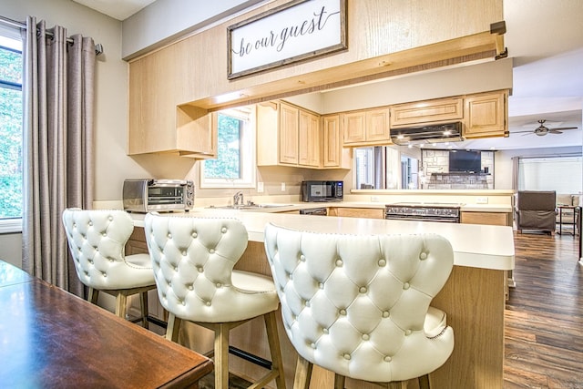 23 Emanuel Dr, Hot Springs Village, AR 71909 - kitchen with light brown cabinets, light countertops, dark wood finished floors, and electric stove