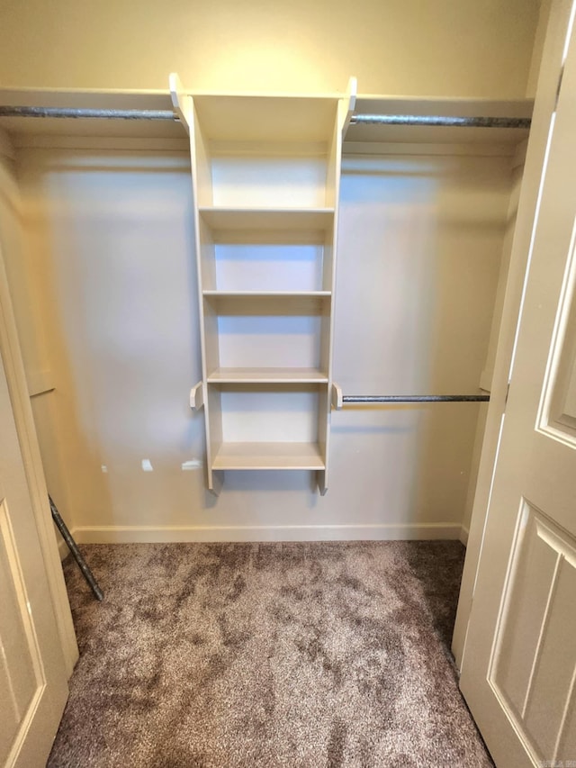 140 Bentley Cir, Little Rock, AR 72210 - spacious closet with carpet