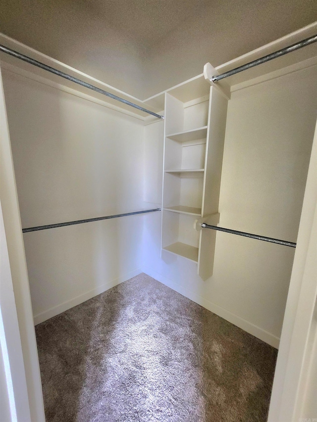 140 Bentley Cir, Little Rock, AR 72210 - spacious closet featuring carpet