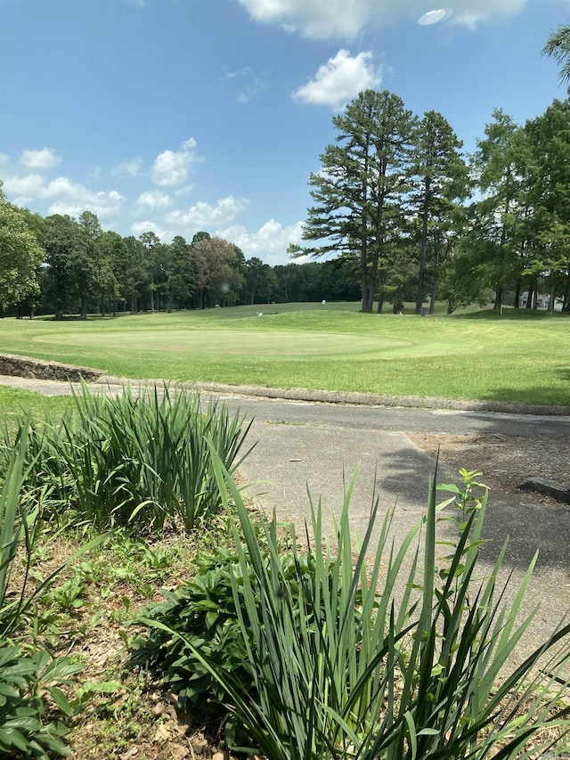 242 Lakeview Dr, Fairfield Bay, AR 72088 - view of community with a lawn and view of wooded area