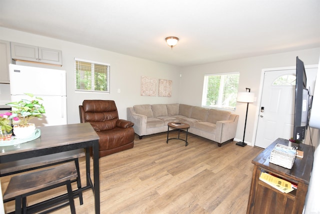 242 Lakeview Dr, Fairfield Bay, AR 72088 - living area with light wood-type flooring