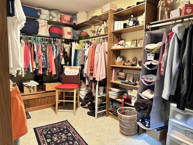 67 Powhatan Dr, Cherokee Village, AR 72529 - spacious closet with carpet floors