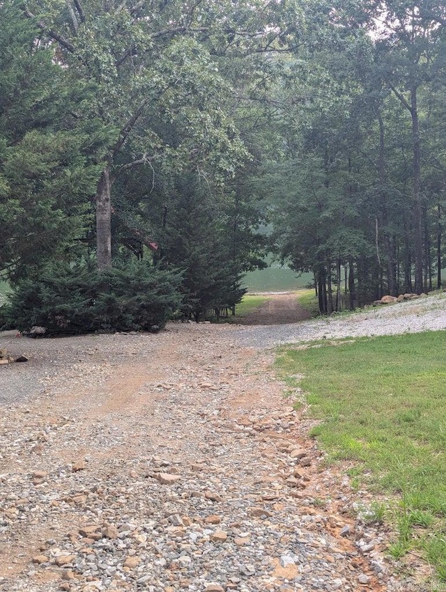 100 Osage, Edgemont, AR 72044 - view of street with a wooded view