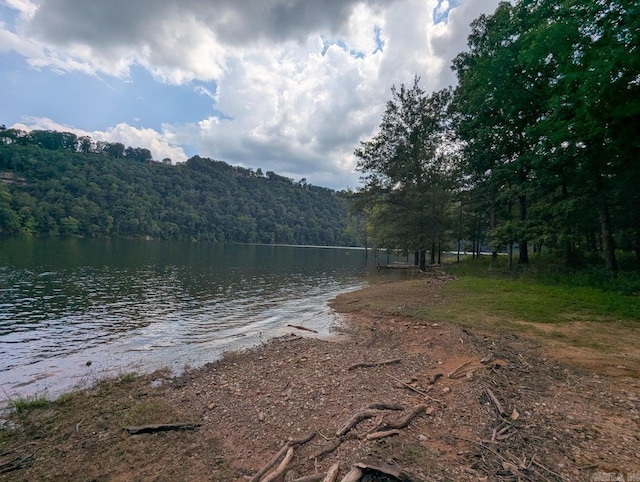 100 Osage, Edgemont, AR 72044 - water view with a heavily wooded area