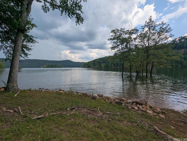 100 Osage, Edgemont, AR 72044 - water view with a heavily wooded area
