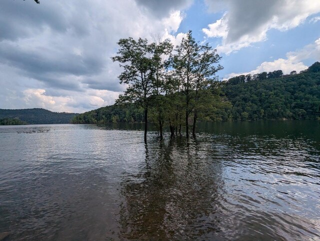 100 Osage, Edgemont, AR 72044 - water view featuring a heavily wooded area