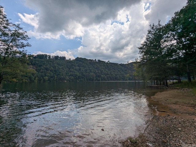 100 Osage, Edgemont, AR 72044 - water view with a forest
