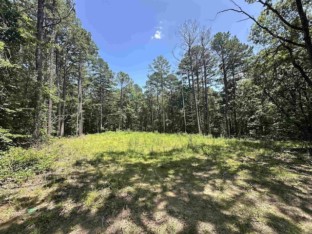 160ACRES America Rd, Morrilton, AR 72110