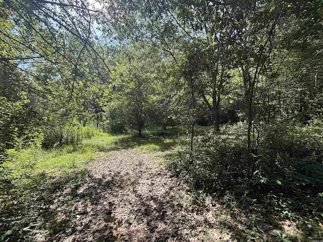 9105 Sunset Ln, Little Rock, AR 72209 - view of tree filled area
