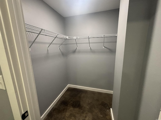225 Donnie Holt Rd, Mcrae, AR 72102 - view of walk in closet