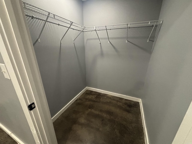 225 Donnie Holt Rd, Mcrae, AR 72102 - view of spacious closet