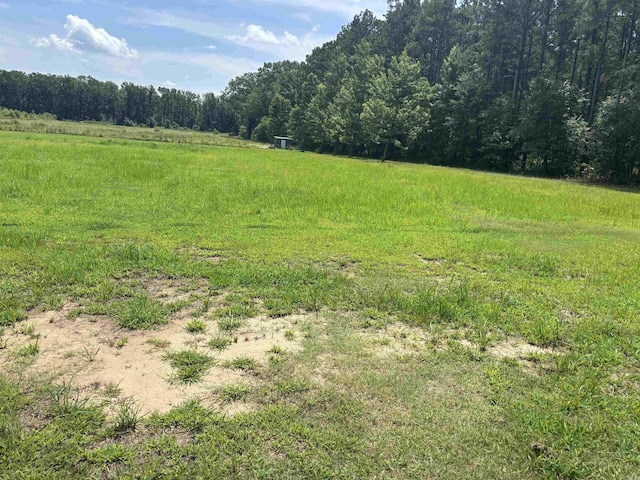 225 Donnie Holt Rd, Mcrae, AR 72102 - view of tree filled area with a view of countryside