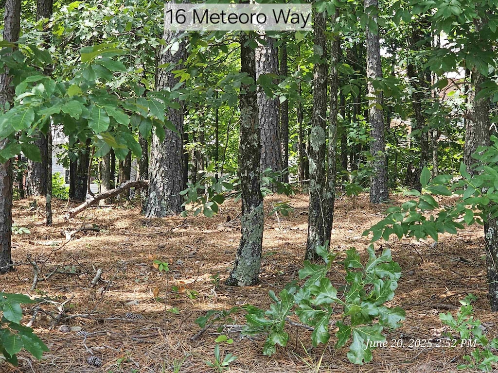 16 Meteoro Way, Hot Springs Village, AR 71909