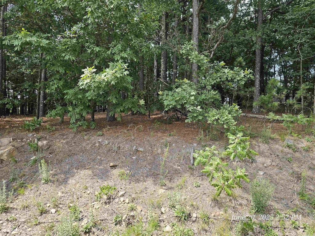 16 Meteoro Way, Hot Springs Village, AR 71909