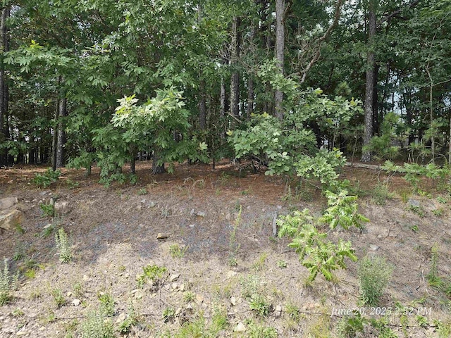16 Meteoro Way, Hot Springs Village, AR 71909