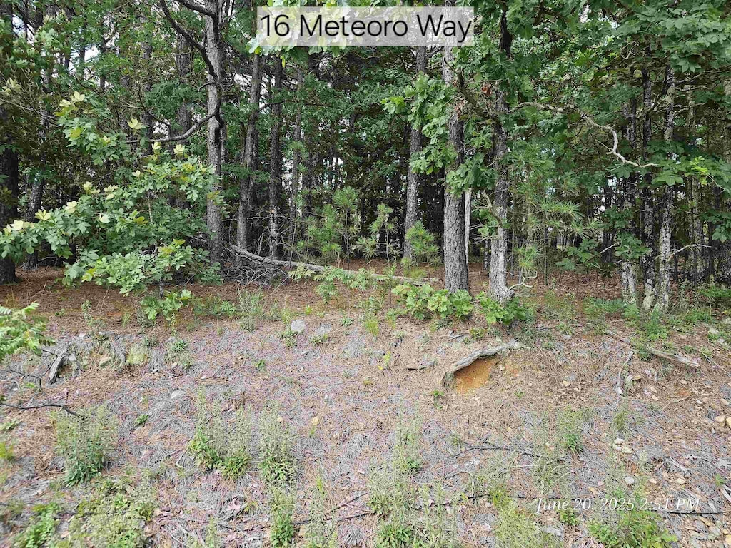 16 Meteoro Way, Hot Springs Village, AR 71909