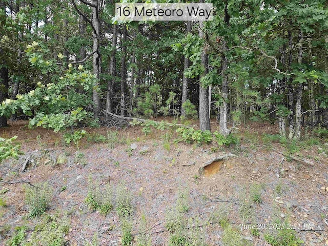16 Meteoro Way, Hot Springs Village, AR 71909
