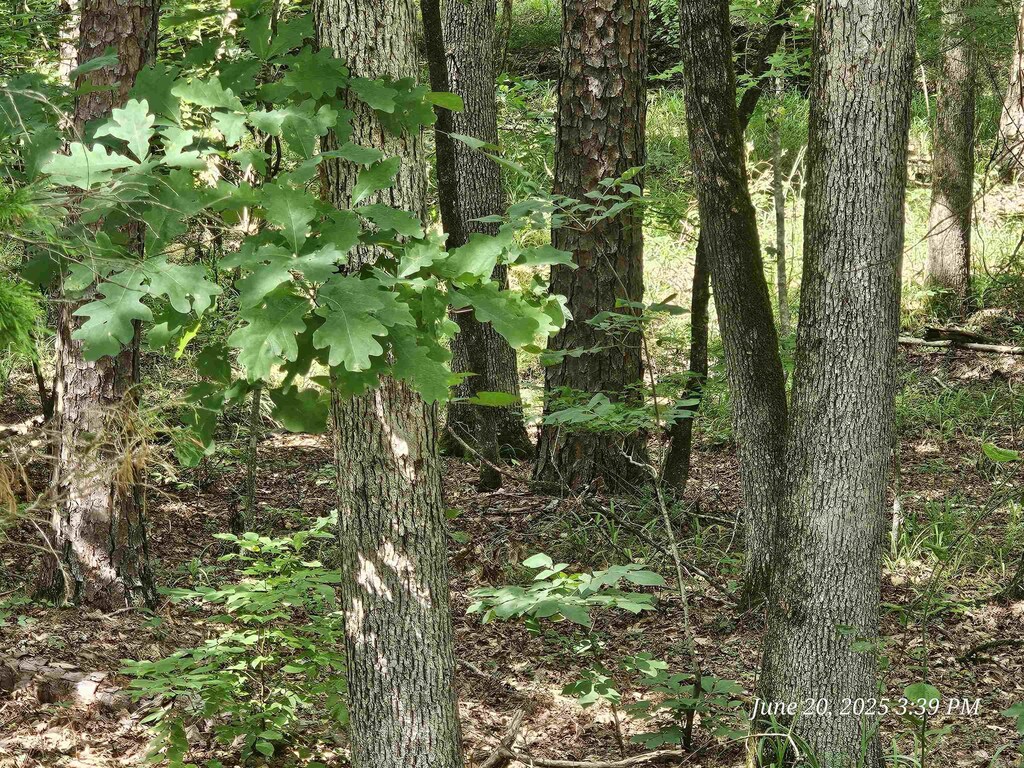 Listing photo - caption unavailable
