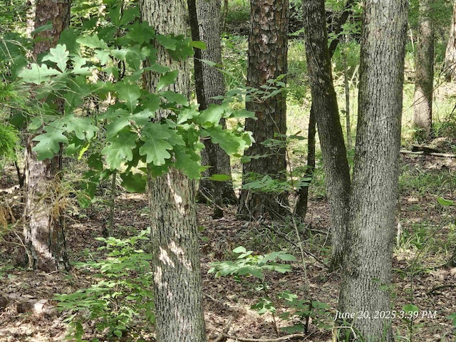 Listing photo - caption unavailable