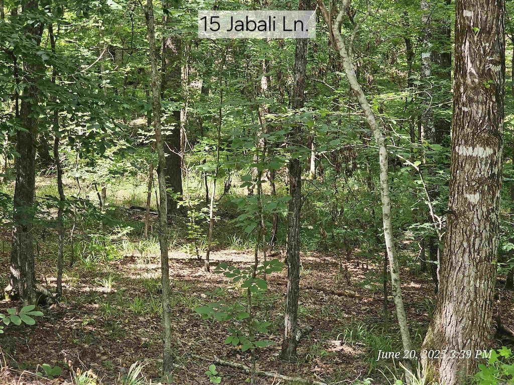 Listing photo - caption unavailable