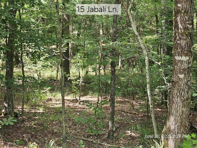 Listing photo - caption unavailable