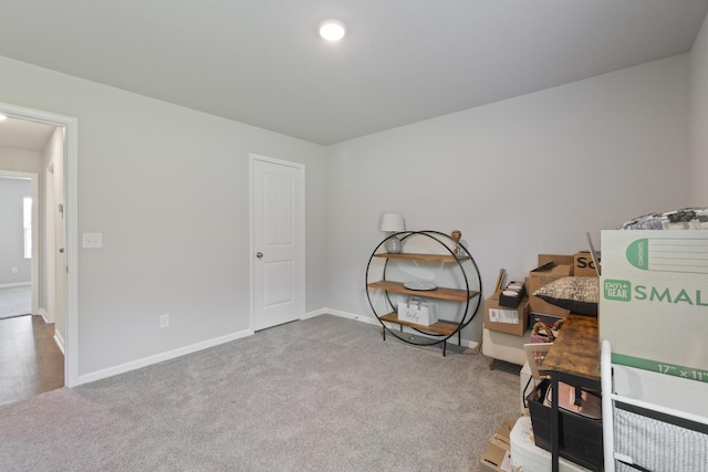 1040 Gallery Dr, Conway, AR 72032 - miscellaneous room with carpet flooring