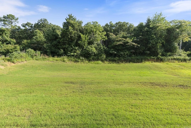 1040 Gallery Dr, Conway, AR 72032 - view of grassy yard