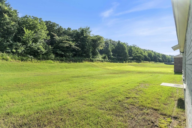 1040 Gallery Dr, Conway, AR 72032 - view of green lawn