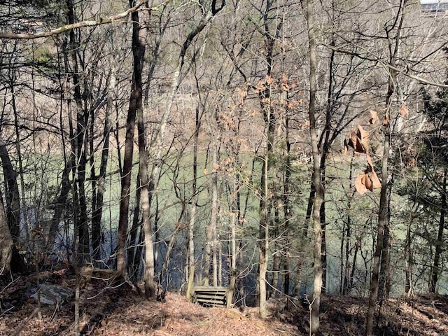 133 Meadowcliff Cir, Fairfield Bay, AR 72088