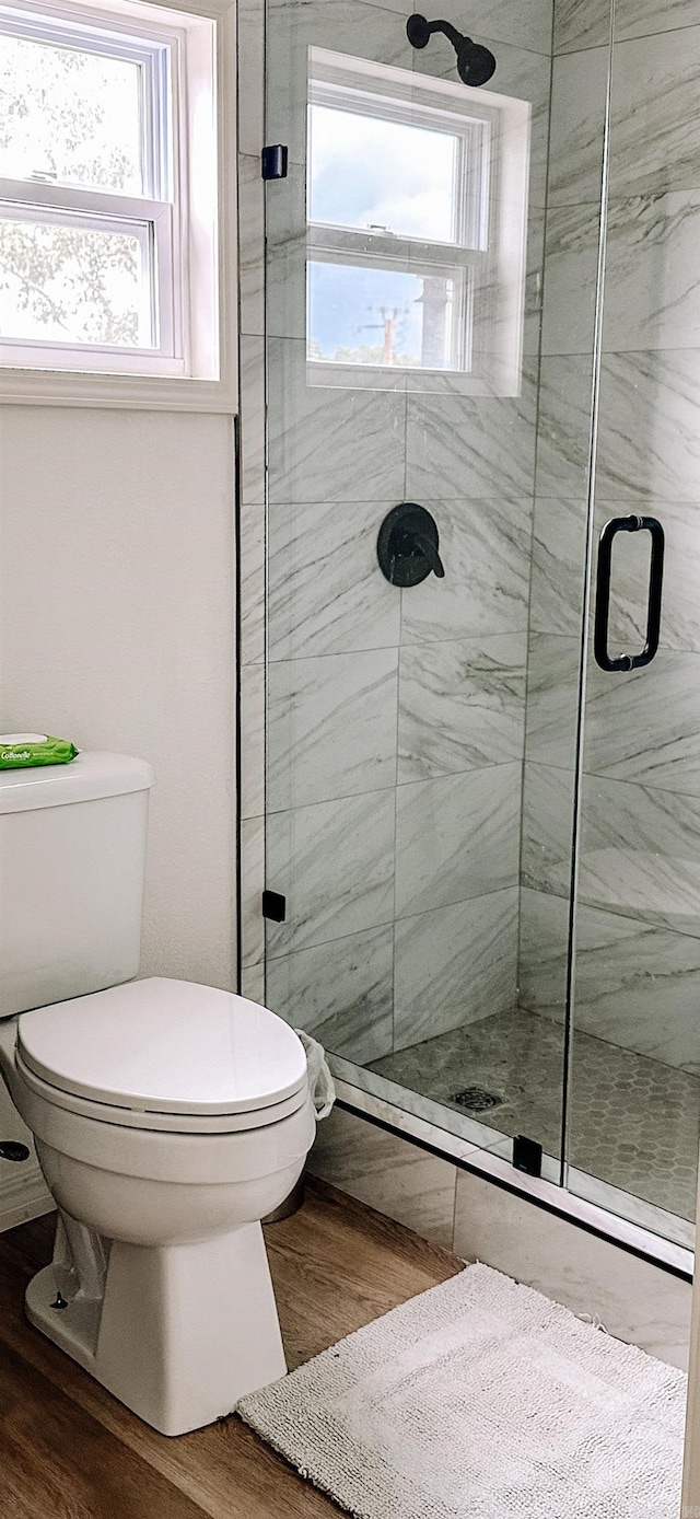 702 Polk Road 57, Mena, AR 71953 - full bathroom featuring plenty of natural light, a shower stall, and wood finished floors