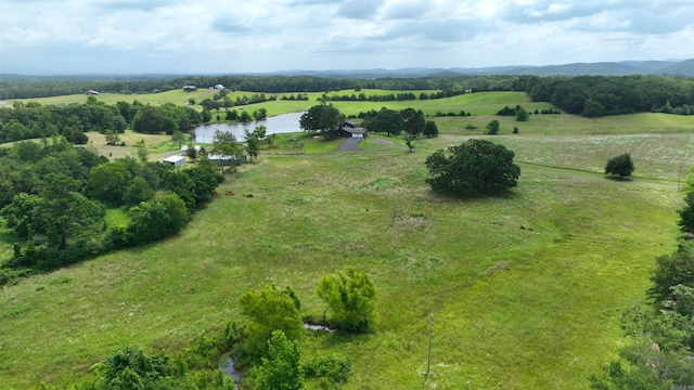 702 Polk Road 57, Mena, AR 71953 - overview of rural landscape with a large body of water