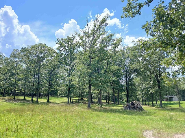 view of nature