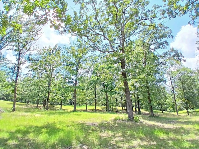 view of nature
