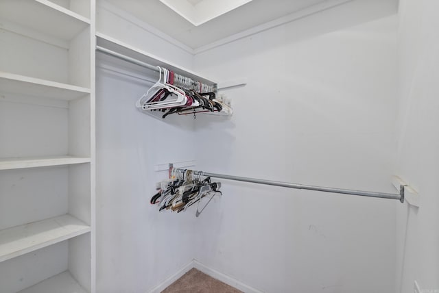 53 E Main St, Greenbrier, AR 72058 - view of walk in closet
