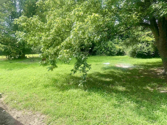 134 S Gosnell St, Gosnell, AR 72315 - view of yard
