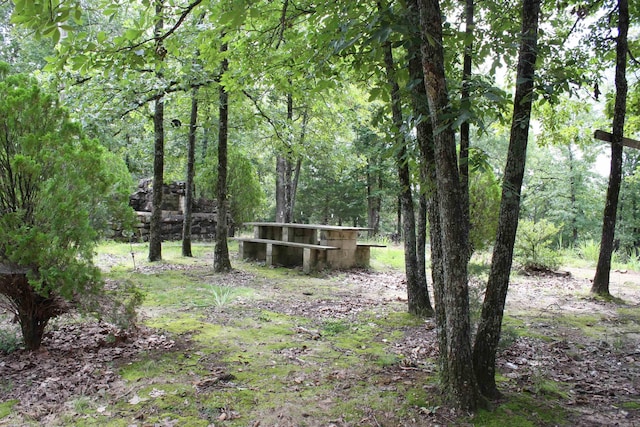 196 Stone Mountain Rd, Vilonia, AR 72032 - view of yard featuring a wooded view