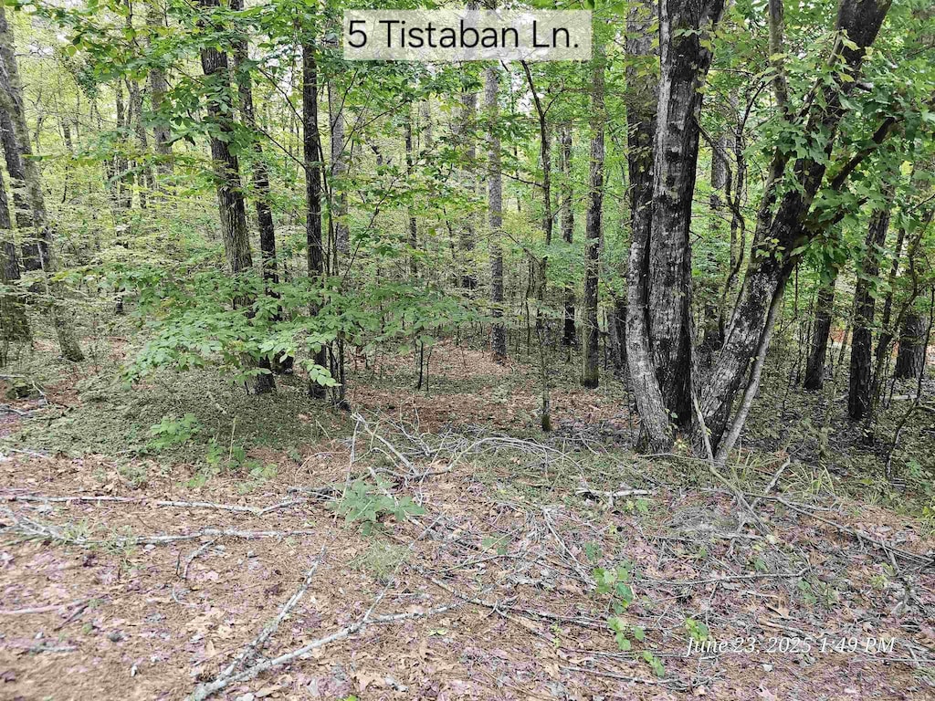 5 Tistaban Ln, Hot Springs Village, AR 71909