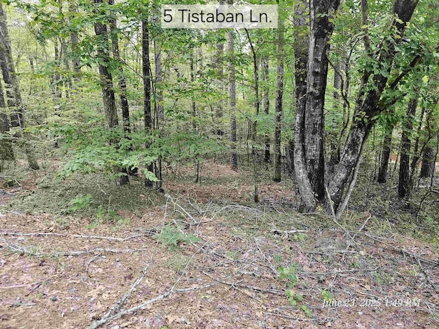 5 Tistaban Ln, Hot Springs Village, AR 71909