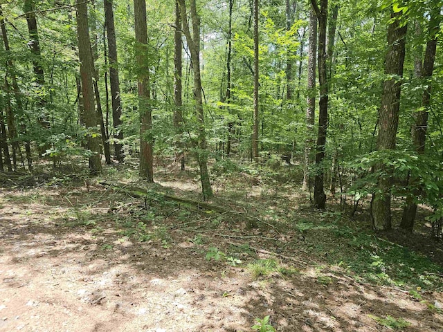 5 Tistaban Ln, Hot Springs Village, AR 71909